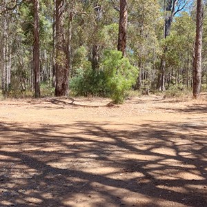 Wellington Dam Road Rest Area