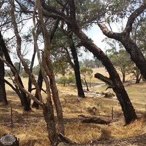 View of creek from camp