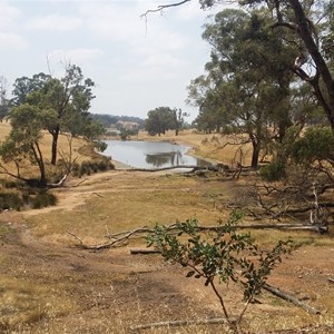 Orup Creek