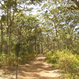 Point Road - Boranup end