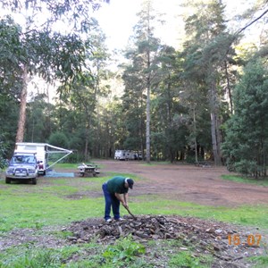 Big Brook Arboretum campground