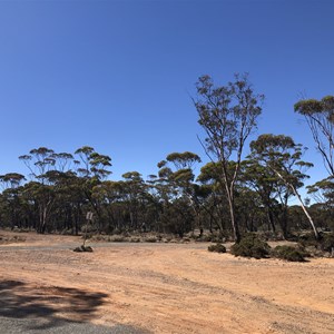 Mount Thirsty Rest Area