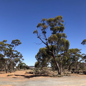 Mount Thirsty Rest Area