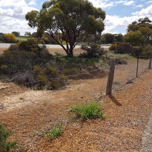 Rabbit Proof Fence Parking Bay