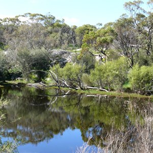 Eadine Springs