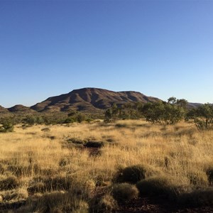 Mt Robinson rest area