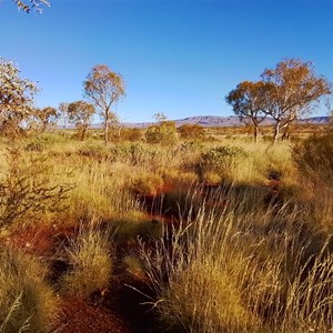 Karijini Eco-Retreat (formerly Savannah Campground)