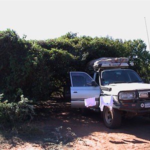 Lunch spot near Quandong 2001