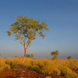 Ngumban Cliff Rest Area