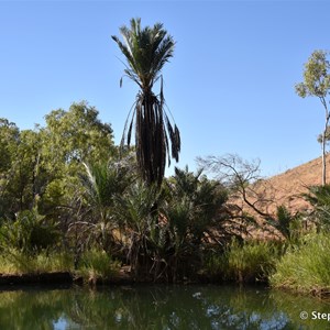 Palm Springs