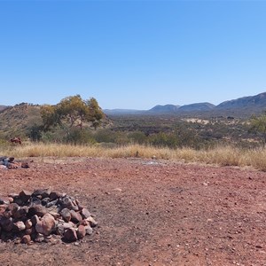 Point Howard Lookout