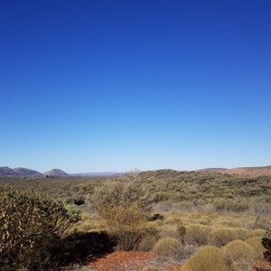 Neil Hargrave Lookout