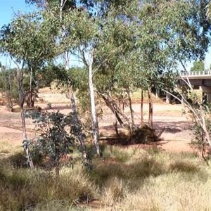 Stuart Highway bridge over the Finke River