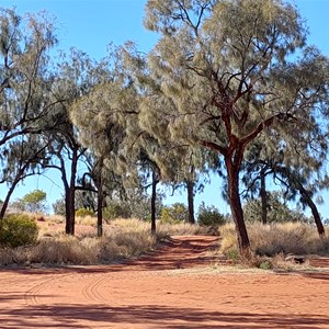 Salt Creek Rest Area