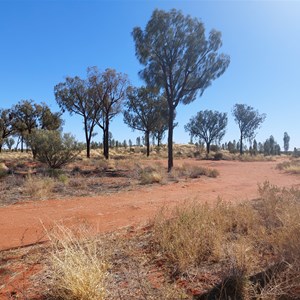 Curtin Springs East Rest Area