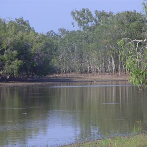 Billabong near rosie fishing camp