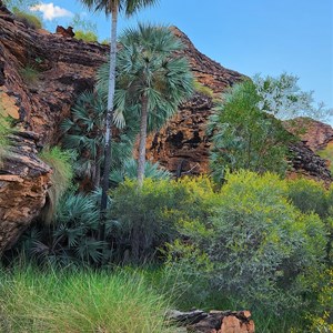 Gurrandalng Campground