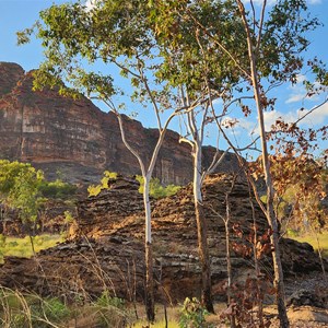 Gurrandalng Campground