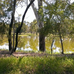 Woolwash Lagoon, Rockhampton Queensland, Australia