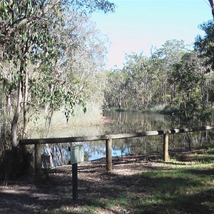 Lagoon at Wonga Day Use Area