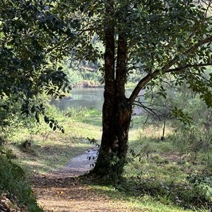 Cedar Grove Campground
