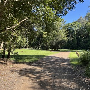 Cedar Grove Campground