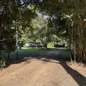 Cedar Grove Campground