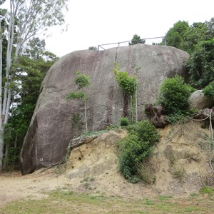 Platypus rock