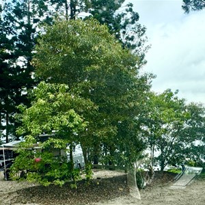 Platypus Campground