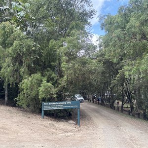 Downfall Creek Campground