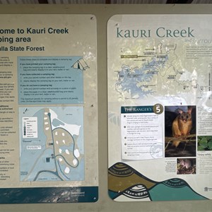 Kauri Creek Campground