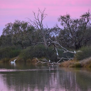 Birdsville Caravan Park