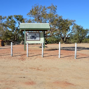 The Dig Tree 