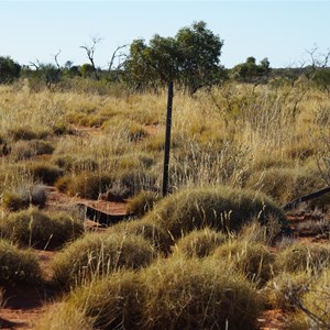 David Carnegie Rd & Forrest's Camp 59 Access