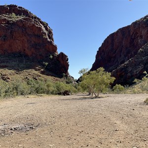 Coppins Gap