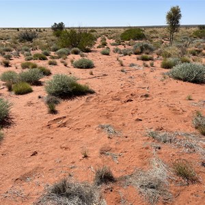 Kidson Track (Wapet Rd) & Callawa Rd