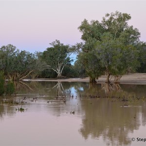 Cooper Creek - Windorah