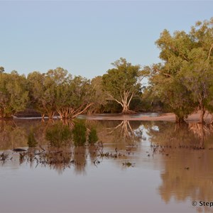 Cooper Creek - Windorah