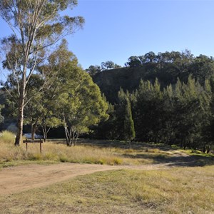 Bridle Track - Black Gate Reserve