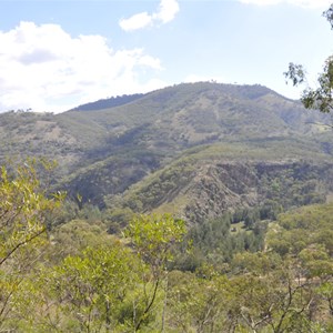 Bridle Track - Mary Flynn Reserve