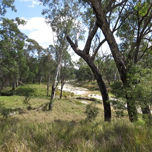 Junction with Nogoa River