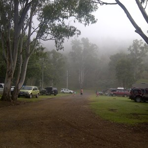 Sites among the rainforest