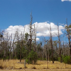 Terramungamine Reserve
