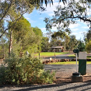 West  Wyalong CP