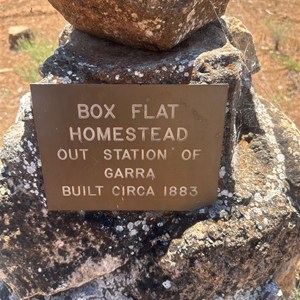 Box Flat Ruin