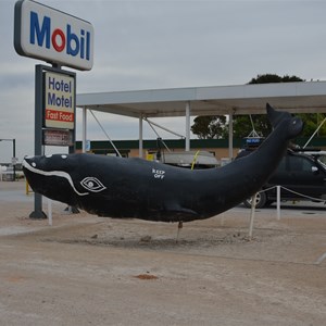 Nullarbor Roadhouse