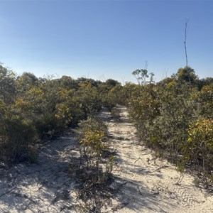 Dunn's Track & Dog Rock Access