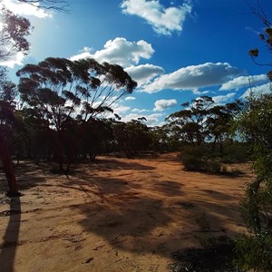 Bush Campsites (Holland Tk)