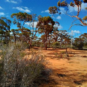 Bush Campsites (Holland Tk)