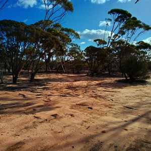 Bush Campsites (Holland Tk)